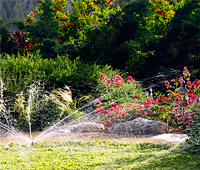 Sprinklers & Irrigation
