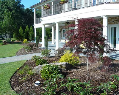How to Maintain Your Landscapes Columbia, SC