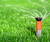 Sprinklers & Irrigation