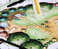 Landscape Design