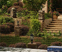 Landscape Design