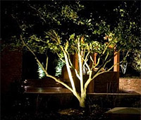 Landscape Lighting