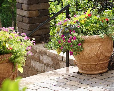 Landscaping Ideas Columbia, SC