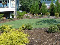 Landscape Maintenance