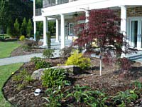 Landscape Installation