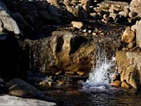 Ponds & Waterfalls