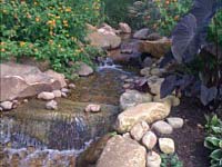 Ponds & Waterfalls